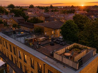 Picture 36